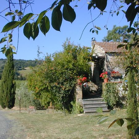 Vila Piccolo Sole Montescudaio Exteriér fotografie