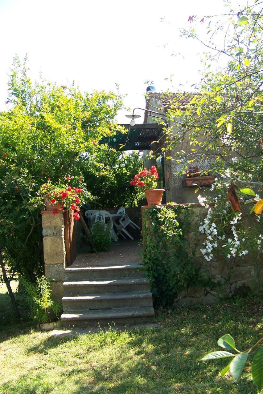 Vila Piccolo Sole Montescudaio Exteriér fotografie