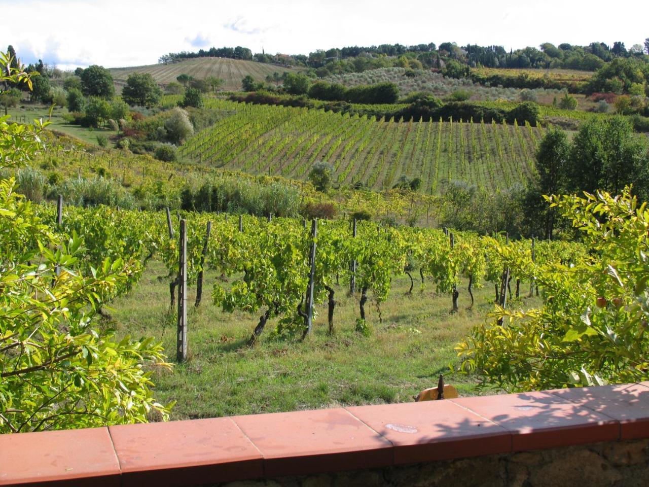 Vila Piccolo Sole Montescudaio Exteriér fotografie